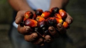 Faktor-faktor yang Mempengaruhi Harga Saham Sawit