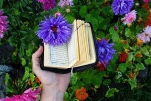 3 Keunggulan Reksa Dana Syariah Untuk Investasi Masa Depan