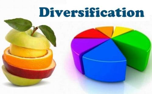 diversikasi porfolio investasi
